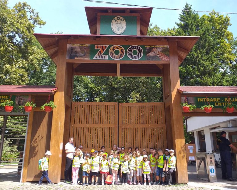 FAMILY-LAND-AFTER-SCHOOL-BRASOV-14